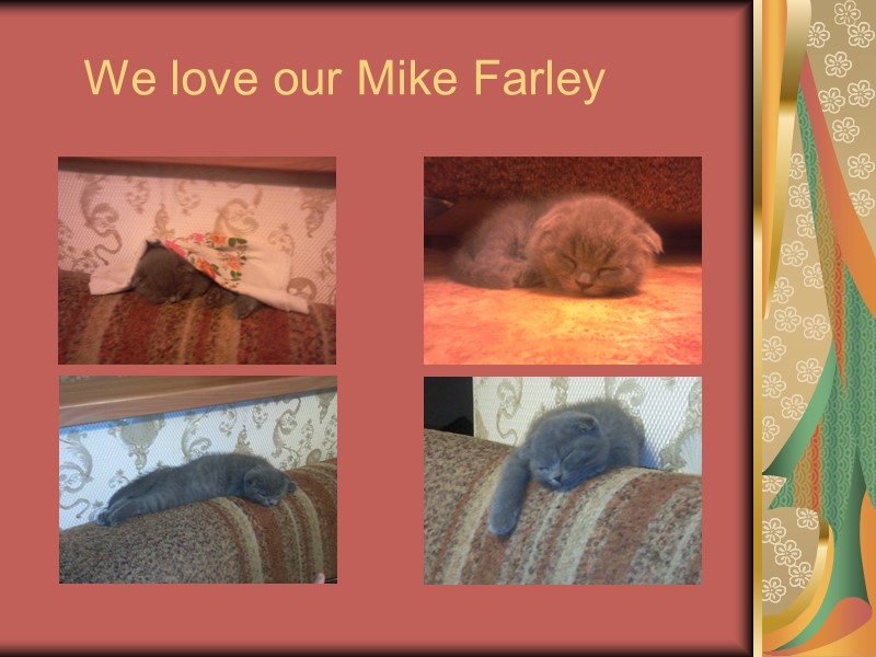 We love our Mike Farley